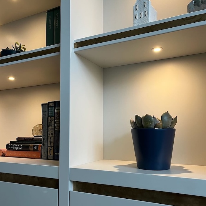 Living room built in cupboard, worthing, west sussex, east sussex, surrey, guildford, brighton hove, london, south east